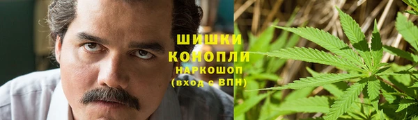 гидра Арсеньев