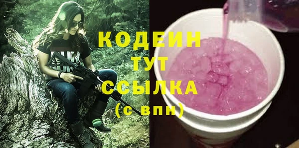гидра Арсеньев