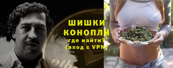 гидра Арсеньев
