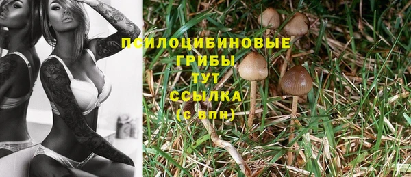наркотики Аркадак