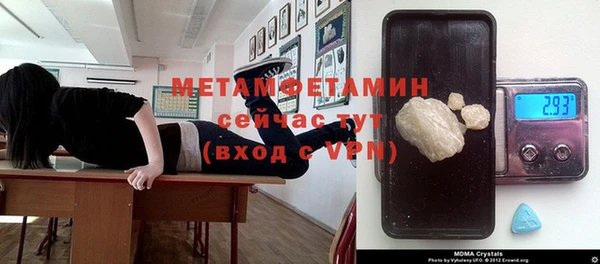 гидра Арсеньев